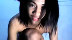 Amazing filipino ladyboy flashing on cam