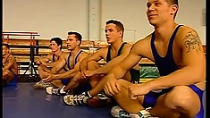 Three well-hung gay wrestlers make each other cum on their mat