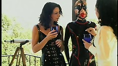 Pvc Mistresses Torture Their Slaves And Send Them Outside For Even More Fun