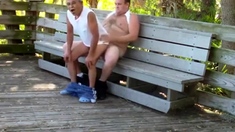 older gays have sex in public park