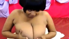 Ebony Webcam: Silky Tits